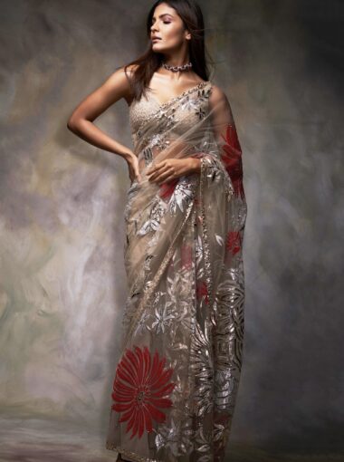 Beige Net Embroidery V Neck Metallic Applique Saree With Blouse 