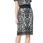 Tadashi Soji Embroidered Tulle Crop Top Dress 