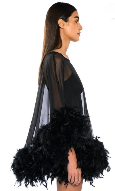 THAT VA VA VOOM LONG SLEEVE SHEER TRAPEZE DRESS WITH FEATHERS