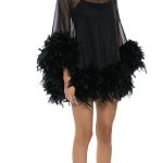 THAT VA VA VOOM LONG SLEEVE SHEER TRAPEZE DRESS WITH FEATHERS