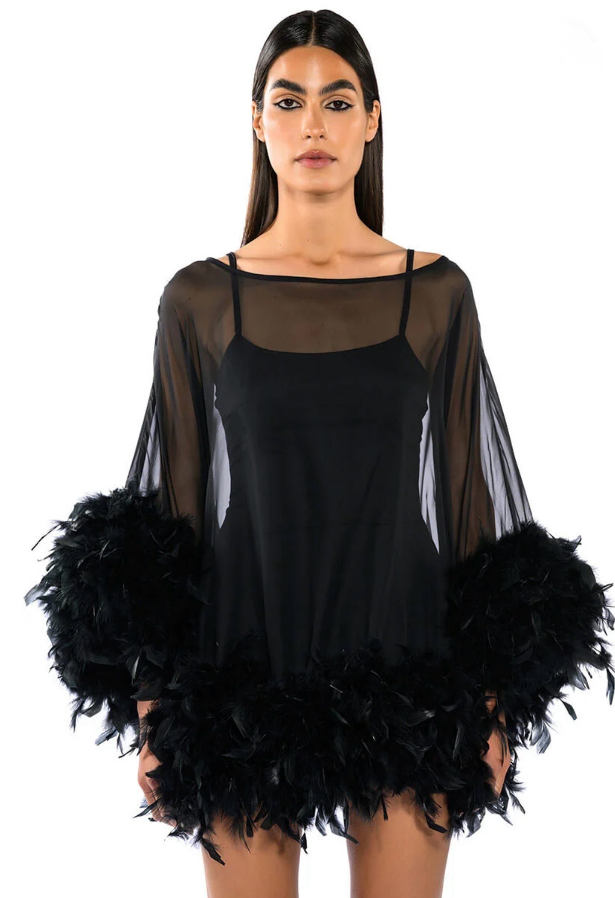 THAT VA VA VOOM LONG SLEEVE SHEER TRAPEZE DRESS WITH FEATHERS