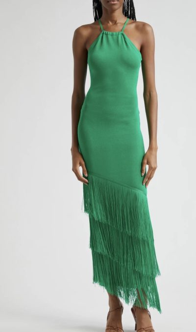 Bridget Sleeveless Fringe Hem Dress