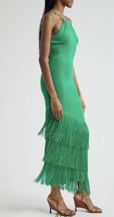 Bridget Sleeveless Fringe Hem Dress