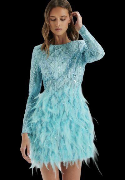 Lavish Alice feather embellished dress 