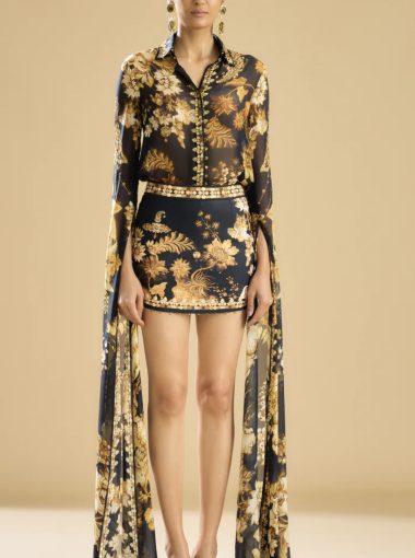 Rajdeep Ranawat silk chiffon top and skirt