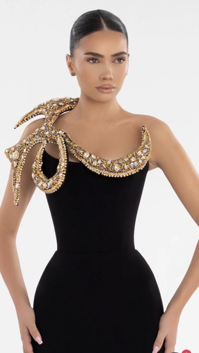 Abina Embellished Sleek black gown