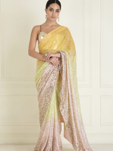 Raina Sequin ombré pre draped saree