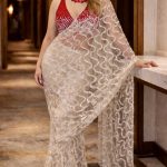 Azura peak sequin pre draped saree